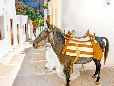 Cyclades Amorgos SMALL
